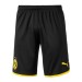 Футбольные шорты для детей Borussia Dortmund Домашние 2019 2020 L (рост 140 см)